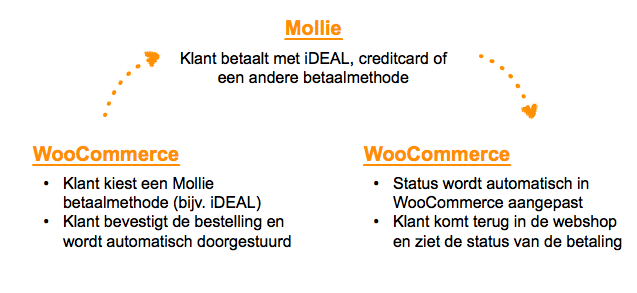 Stappen voor Mollie iDEAL betalingen in WooCommerce