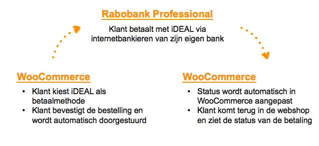 Stappen voor Rabobank iDEAL Professional betalingen in WooCommerce